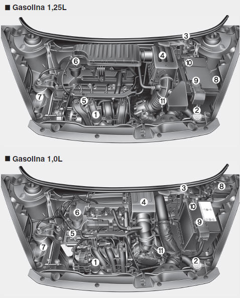 Compartimento do motor