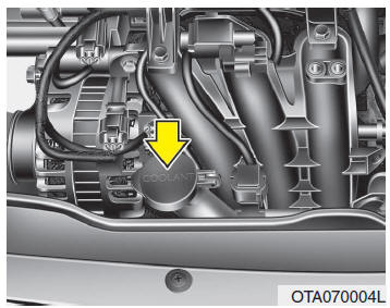 Líquido de refrigeração do motor 