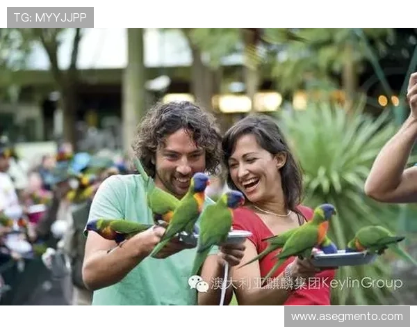 诺亚方舟娱乐城：引领行业的创新技术打造极致的娱乐体验