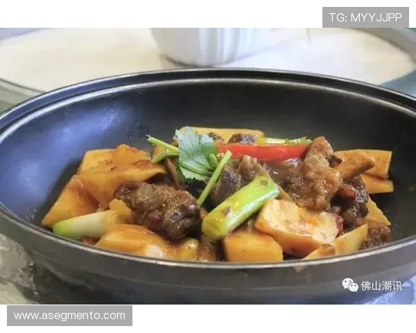 鸭脖乐鱼的制作工艺揭秘，了解每一份美味背后的用心与技艺